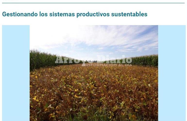 Imagen de Jornada “Gestionando los sistemas productivos sustentables”
