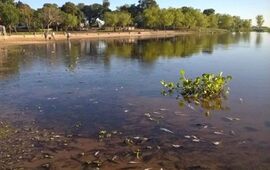 Palabra oficial. Especialistas explicaron que se trata de un fenómeno natural de escala regional,