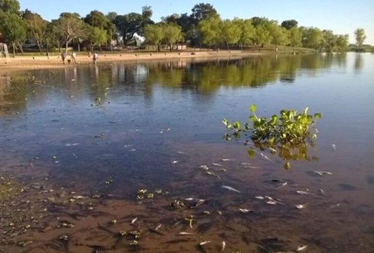 Palabra oficial. Especialistas explicaron que se trata de un fenómeno natural de escala regional,