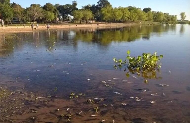 Palabra oficial. Especialistas explicaron que se trata de un fenómeno natural de escala regional,