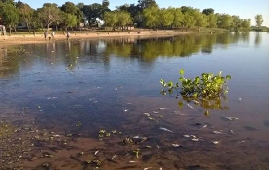 Palabra oficial. Especialistas explicaron que se trata de un fenómeno natural de escala regional,