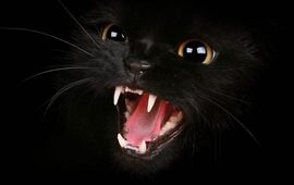 Imagen de &iquest;Por qu&eacute; muchos consideran el martes 13 como d&iacute;a de la mala suerte?