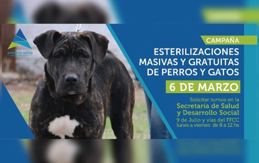 Imagen de Nueva jornada de esterilizaciones para perros y gatos