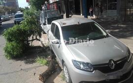 Imagen de Se cortó una gran rama y cayó sobre un auto
