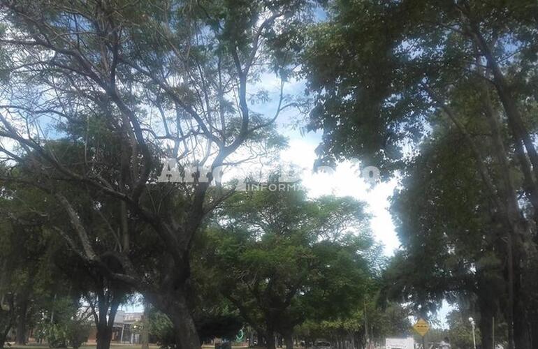 Imagen de &iquest;Se vendr&aacute; el agua?: El SMN anticipa lluvias y tormentas