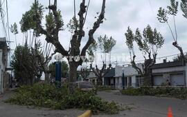 Zona centro. Los trabajos se iniciaron este lunes.