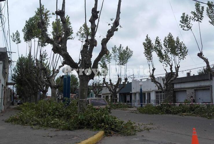 Zona centro. Los trabajos se iniciaron este lunes.