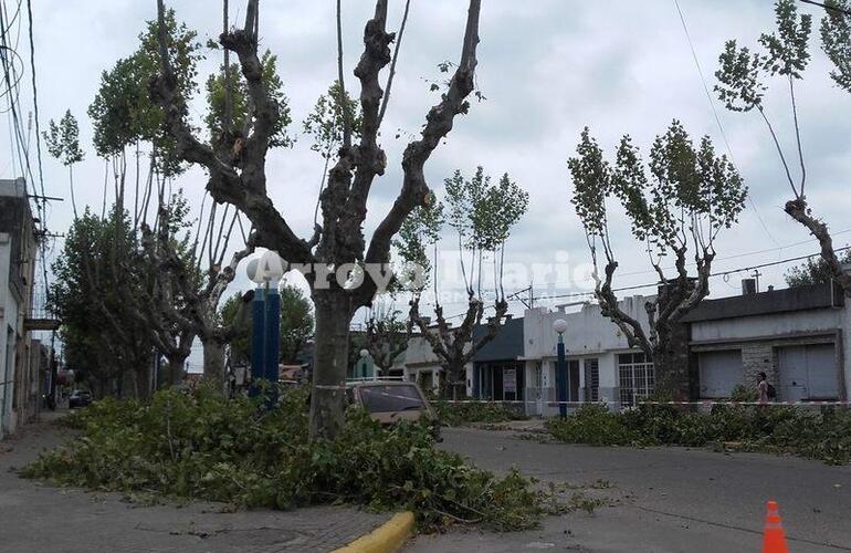 Zona centro. Los trabajos se iniciaron este lunes.