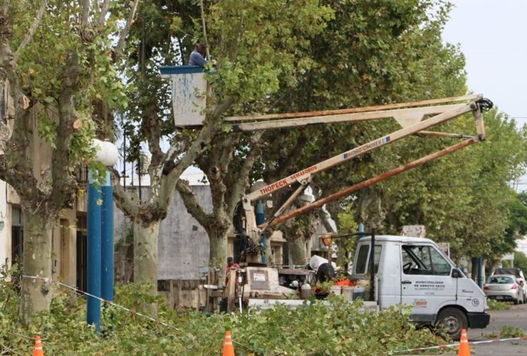 Arrancaron esta semana. Los trabajos de escamonda comenzaron el lunes pasado. Foto: Matías Perfetto, Municipalidad de Arroyo Seco.