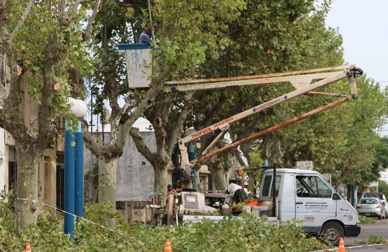 Arrancaron esta semana. Los trabajos de escamonda comenzaron el lunes pasado. Foto: Matías Perfetto, Municipalidad de Arroyo Seco.