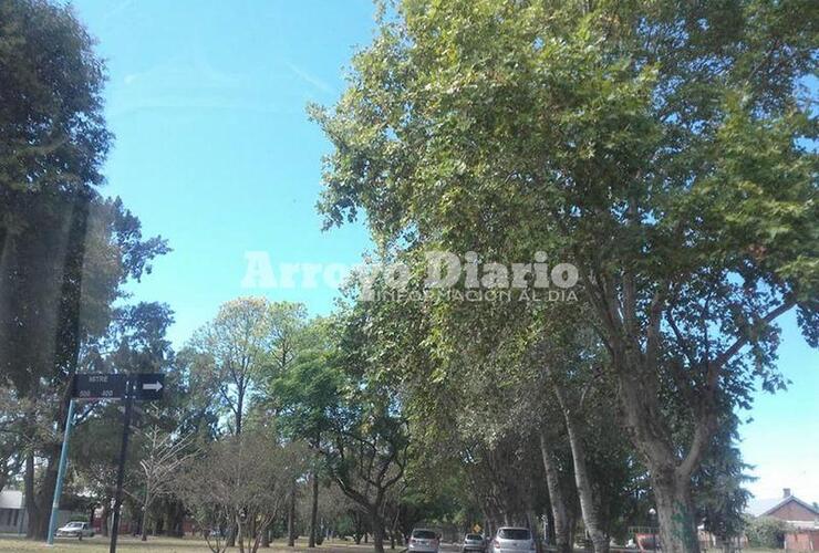 Despejado. El cielo se mantenía celeste pero la temperatura bajó considerablemente.