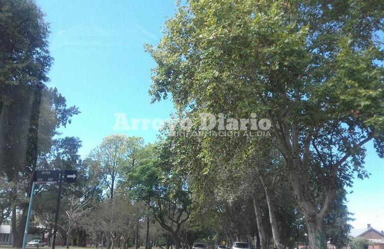 Despejado. El cielo se mantenía celeste pero la temperatura bajó considerablemente.