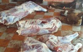 Primera imagen. Se decomisaron cerca de 2000 kilos de carne.