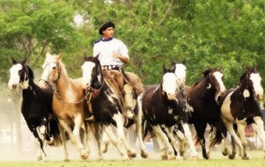 Imagen de Jineteada solidaria