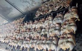 A seguir colaborando. La anterior pollada solidaria dejó una recaudación de 15 mil pesos.