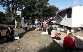 Imagen de La campa&ntilde;a de castraci&oacute;n se extiende un d&iacute;a m&aacute;s