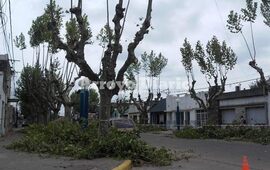 Lo dice el parte informativo. El municipio dejó en claro que " las tareas de escamonda solo es realizada por personal municipal, en tareas programadas, sin costo para el vecino".