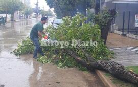 Plena tarea. El trabajo se efectuó este viernes después del mediodía.