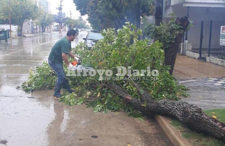 Plena tarea. El trabajo se efectuó este viernes después del mediodía.