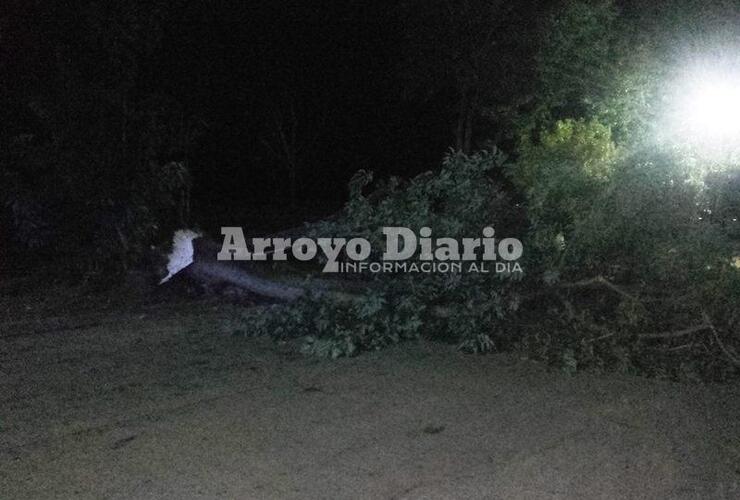 Calle cortada. La circulación vehicular permaneció interrumpida por las algunas horas a la altura de Aníbal Maffei y Alvarado.