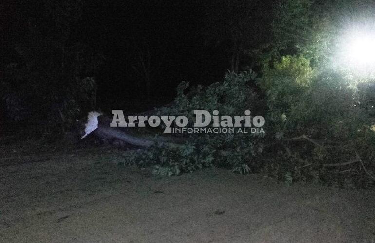 Calle cortada. La circulación vehicular permaneció interrumpida por las algunas horas a la altura de Aníbal Maffei y Alvarado.