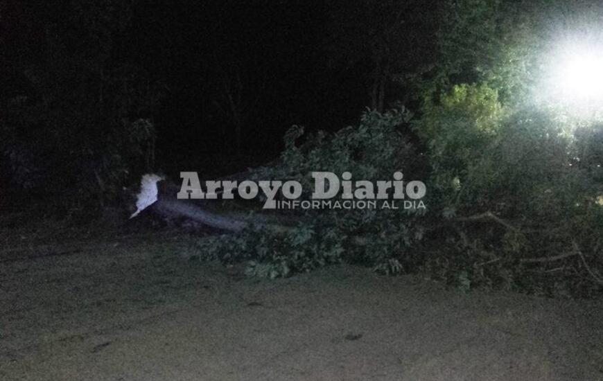 Calle cortada. La circulaci&oacute;n vehicular permaneci&oacute; interrumpida por las algunas horas a la altura de An&iacute;bal Maffei y Alvarado.