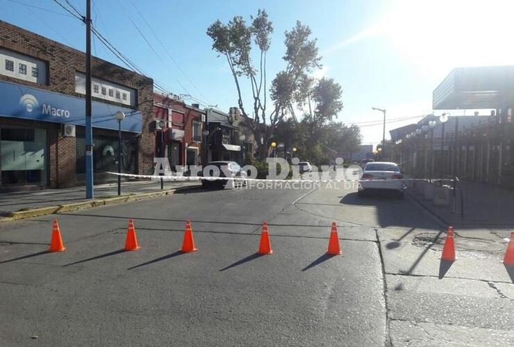 Imagen de Trabajos de escamonda y calle cortada