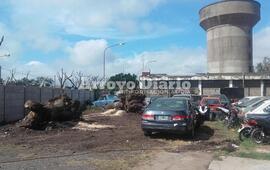 Imagen de Se sigue recuperando el predio de Tr&aacute;nsito