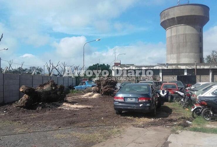 Imagen de Se sigue recuperando el predio de Tránsito