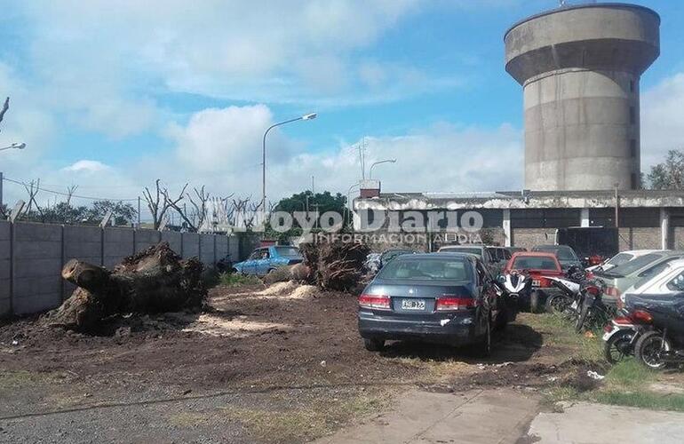 Imagen de Se sigue recuperando el predio de Tránsito