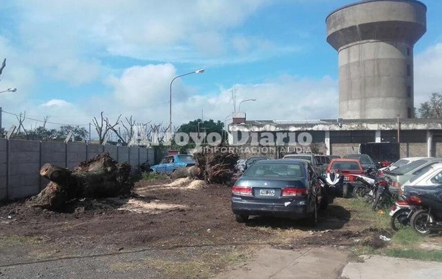 Imagen de Se sigue recuperando el predio de Tr&aacute;nsito