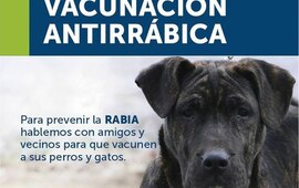 Imagen de Vacunación Antirrábica en la Vieja Usina