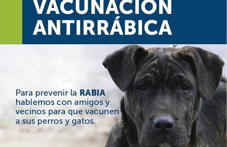 Imagen de Vacunación Antirrábica en la Vieja Usina