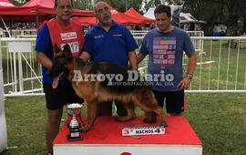 Imagen de Criado en Fighiera y premiado a nivel nacional