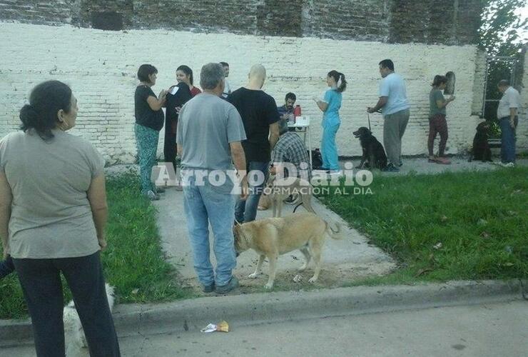 Foto: Gentileza Nicol&aacute;s Trabaina