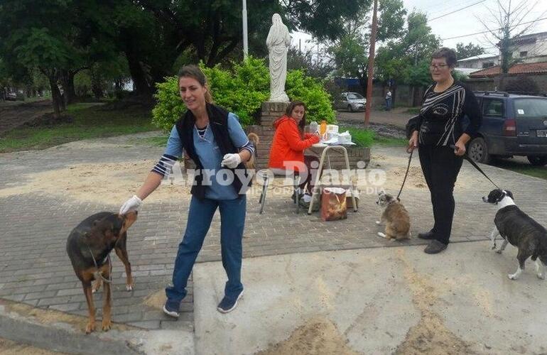 Imagen de Nueva jornada de Vacunaci&oacute;n Antirr&aacute;bica