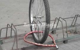 Foto: Gentileza Maximiliano Pascual.