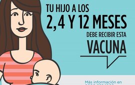 Imagen de Fighiera: Llegada de dosis de vacunas