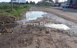 Notable deterioro. Así está la calle San Martín en zona norte.