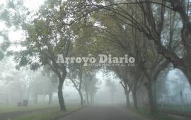 Imagen de Visibilidad reducida en nuestra zona