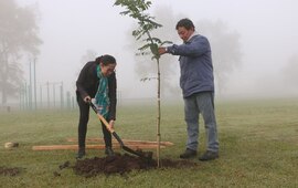 Foto: Municipalidad de Arroyo Seco
