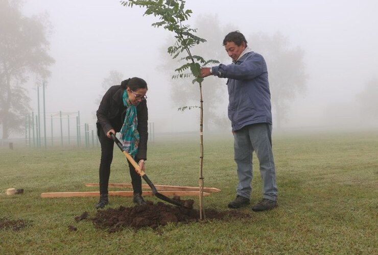 Foto: Municipalidad de Arroyo Seco