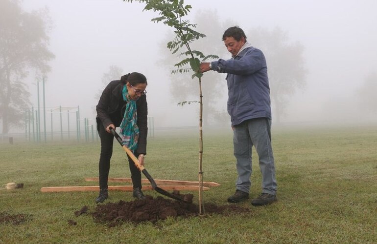 Foto: Municipalidad de Arroyo Seco