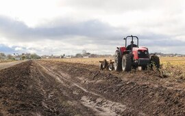 Fotos: Municipalidad de Arroyo Seco FB