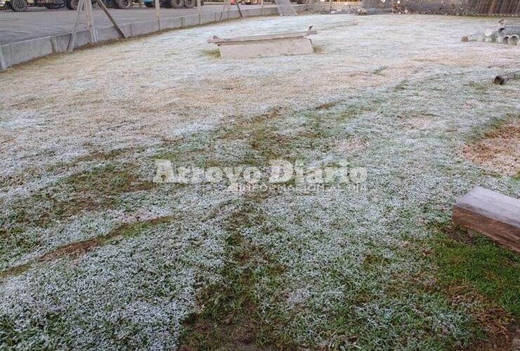 Imagen de Un manto blanco, lo que dejó la helada de este jueves