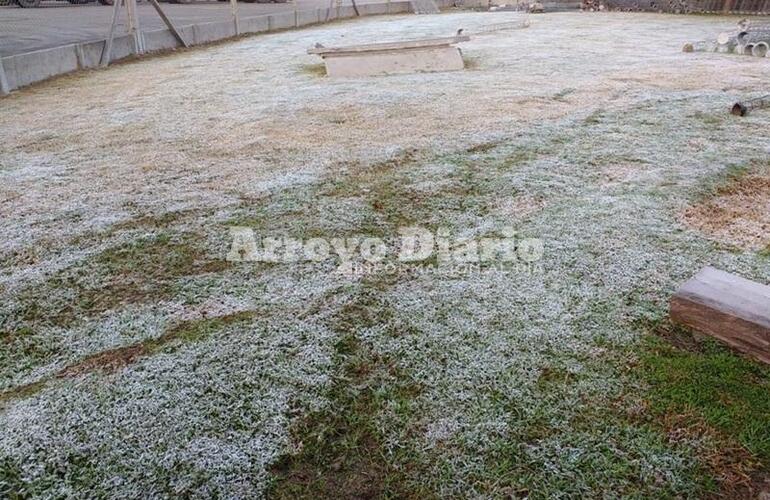 Imagen de Un manto blanco, lo que dejó la helada de este jueves