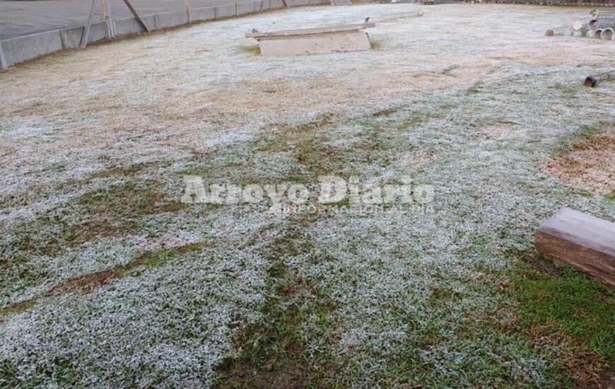 Imagen de Un manto blanco, lo que dej&oacute; la helada de este jueves