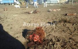 Imagen de Otro caso de abigeato: tres animales faenados en un campo