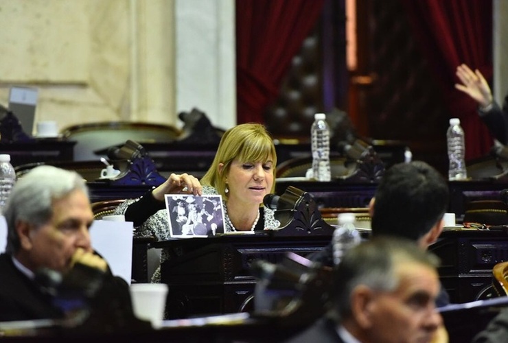 Imagen de Acuerdo con el Fondo: Rodenas habló de  "entrega, sumisión y pérdida de soberanía"