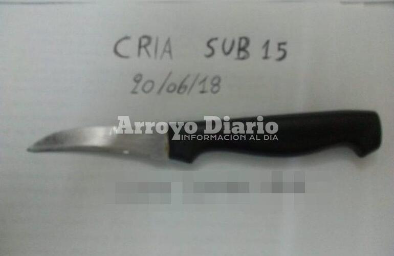 Imagen de Cuenta con antecedentes y anoche fue detenido